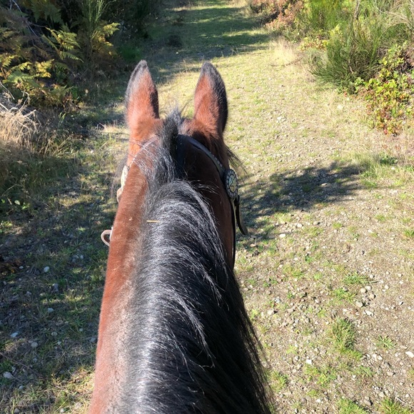 Meet your Posher, Jessica - Picture 2 of 7